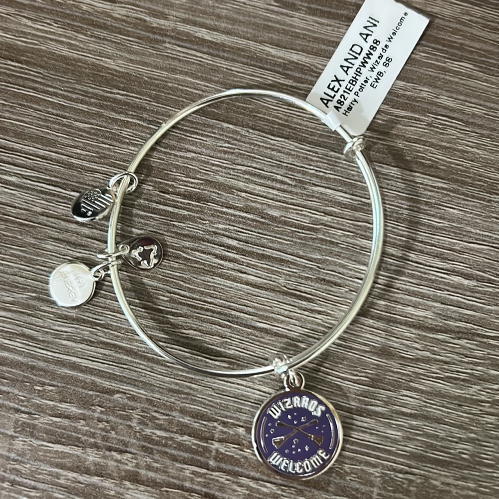 Purse + Alex and Ani 3 Bracelet Bundle. FREE Iron-on Hedwig patch & Dobby Plush - Picture 13 of 16